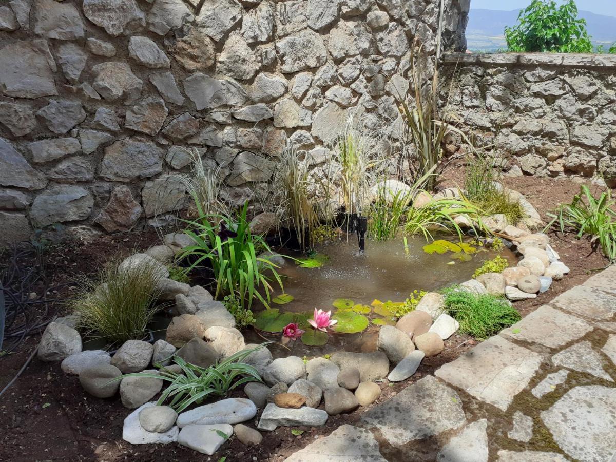 Agoriani Art Suite - 4 Seasons' Natural Living Lilaia Exterior photo